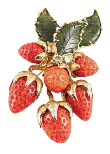 Strawberry Jewelry - Bogusia - kostenlos png