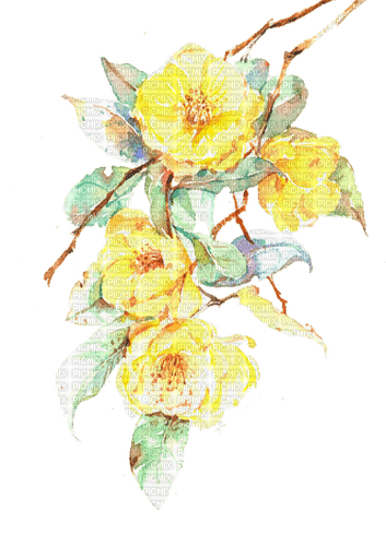 fleur, watercolour, yellow, Adam64 - PNG gratuit