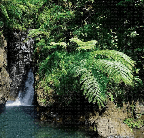 tahiti landschaft - фрее пнг