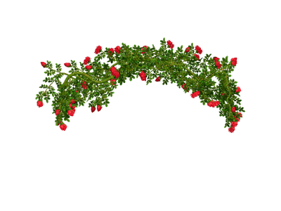 garden plants bp - Free PNG