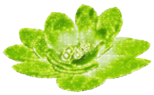 Animated.Flower.Pearls.Green - By KittyKatLuv65 - Gratis geanimeerde GIF