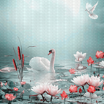 soave background animated  flowers water pink teal - GIF animé gratuit