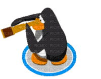 Club Penguin - Zdarma animovaný GIF