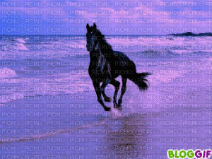 horse - Gratis geanimeerde GIF