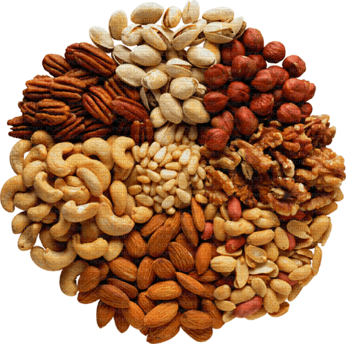 nuts Bb2 - Free PNG
