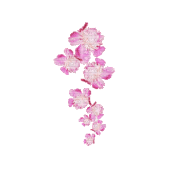 Розовые пионы - GIF เคลื่อนไหวฟรี