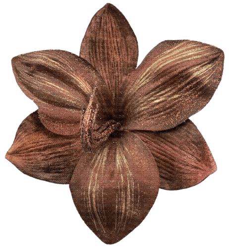 autumn brown deco flower kikkapink - 無料png