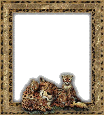 frame animal print bp - Ingyenes animált GIF