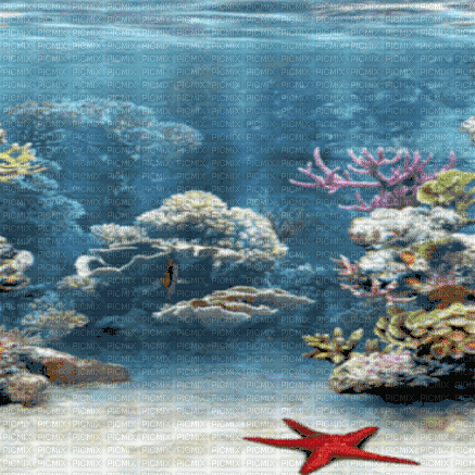 underwater - GIF animado gratis