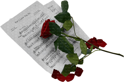 Red.Rose.Music.love.Victoriabea - ingyenes png