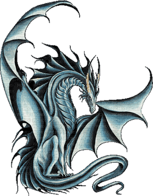 regal dragon - nemokama png