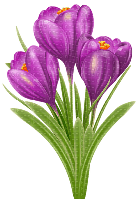 Kaz_Creations Spring Flowers - 免费PNG