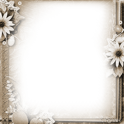 soave frame vintage flowers lace autumn sepia - Free PNG