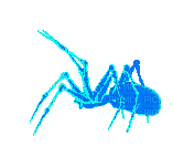 neon blue spider - Free animated GIF