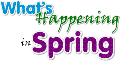 Kaz_Creations Text What's Happening In Spring - besplatni png