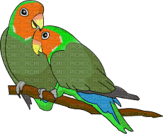 parrot - GIF animate gratis