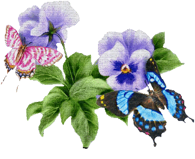 Kaz_Creations Flowers Deco Butterflies Animated - GIF animate gratis