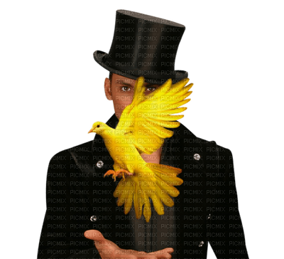 magicien.Cheyenne63 - Free PNG