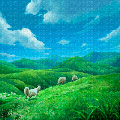 Y.A.M._Summer landscape background - 無料png