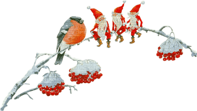 Christmas birds bp - besplatni png
