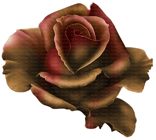 gothic rose - PNG gratuit