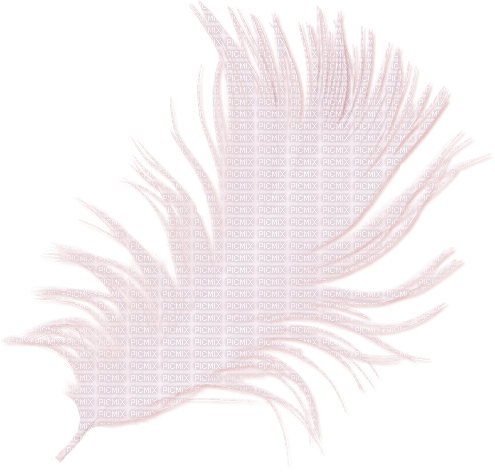 feather - nemokama png