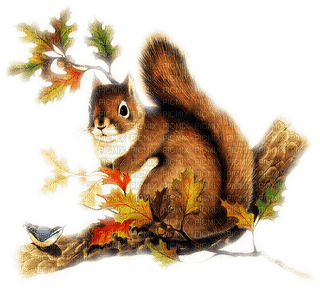 Kaz_Creations Deco Autumn Squirrel - PNG gratuit