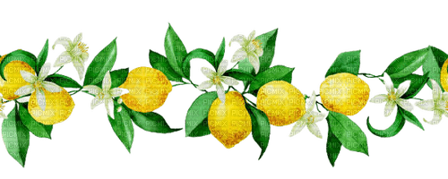 kikkapink lemon fruit deco png border - gratis png