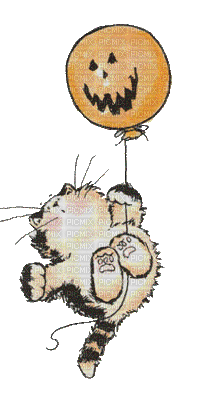Chat accroché ballon - Bezmaksas animēts GIF