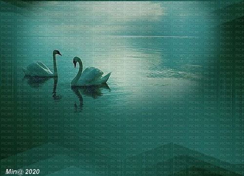 bg-.background--turquoise --swans---svanar - png ฟรี