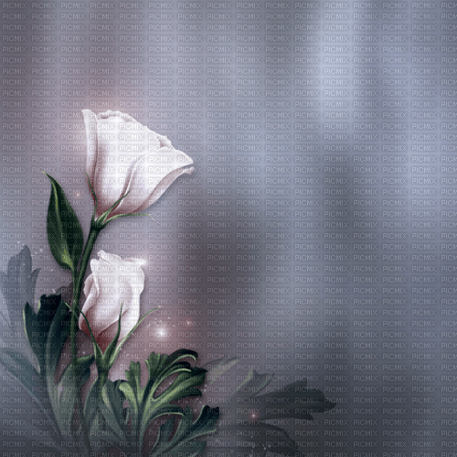 grey background by nataliplus - Free PNG