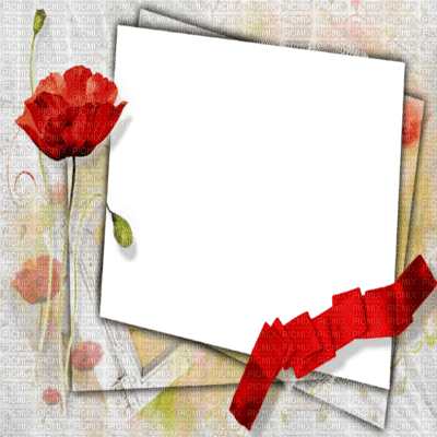frame cadre flowers - δωρεάν png