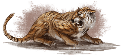 tiger sketch - png gratis