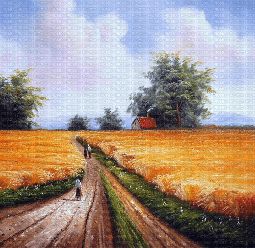 Field background - фрее пнг