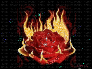 розы - Бесплатни анимирани ГИФ