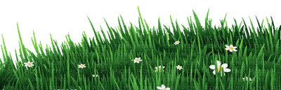 Kaz_Creations Garden-Deco-Grass - Free PNG