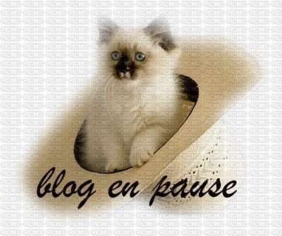 blog - png gratuito