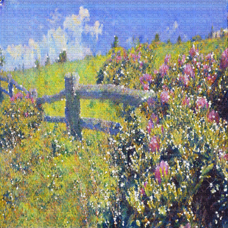 kikkapink background flowers spring field - Ingyenes animált GIF