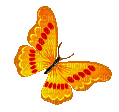 butterfly whit schlappi50 - Free animated GIF