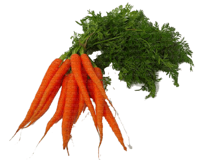 Vegetables - Free PNG