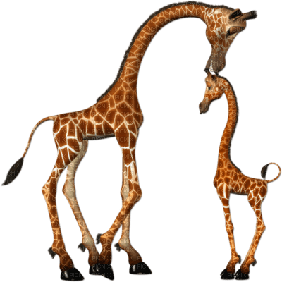 girafe ( - nemokama png