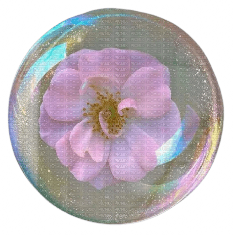 flower bubble - kostenlos png