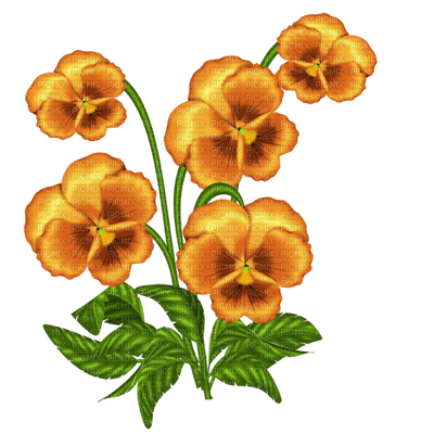 Kaz_Creations Deco Flowers Flower Colours - besplatni png
