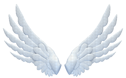Angel Wings - Animovaný GIF zadarmo