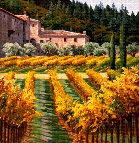 Rena Toscana Wein Hintergrund Background - kostenlos png