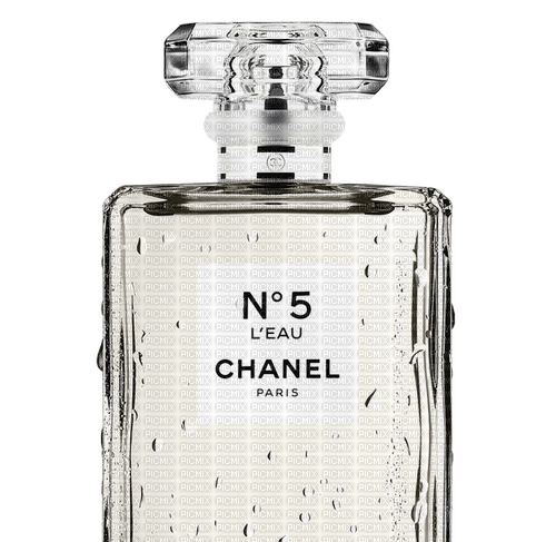 Perfume Chanel - Bogusia - nemokama png