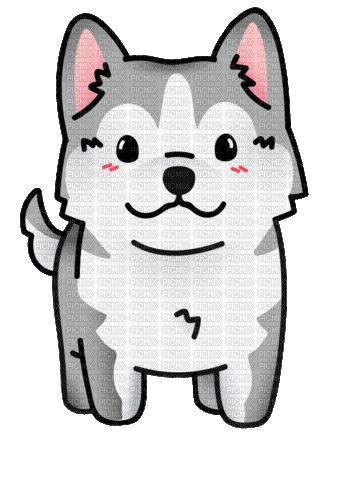 Siberian Husky Dogs - Gratis animerad GIF