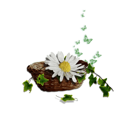 Kaz_Creations Deco Vase Flowers Plant Colours - gratis png
