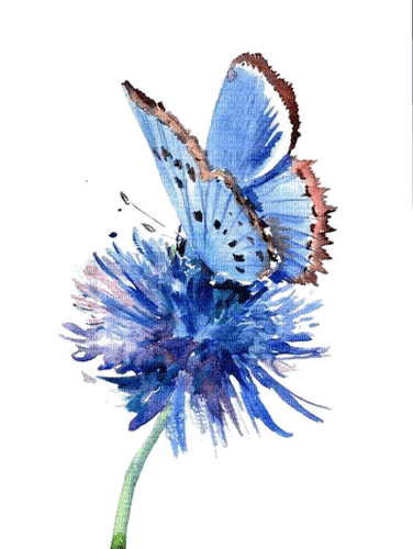 loly33 painting - kostenlos png