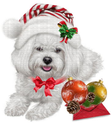 Kaz_Creations Christmas Dog Pup Dogs Colours - png gratuito